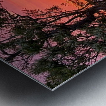 2691626 :: Brushed Metal Print