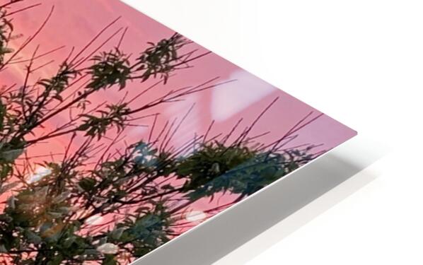 2691626 :: HD Sublimation Metal Print