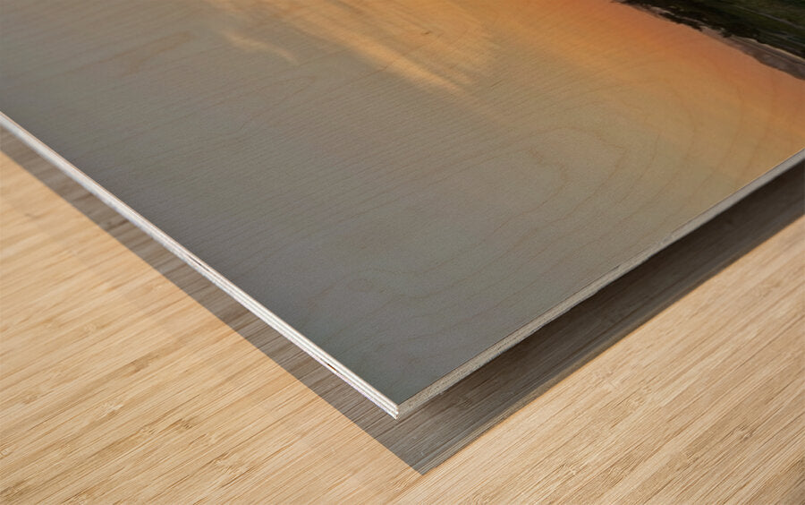 2683847 :: Wood Print