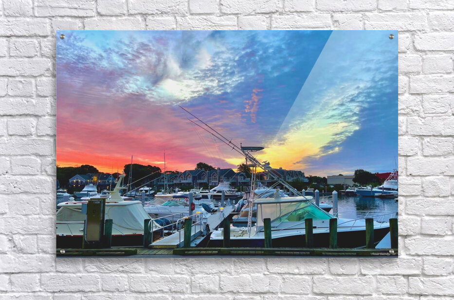 2237254 :: Acrylic Print