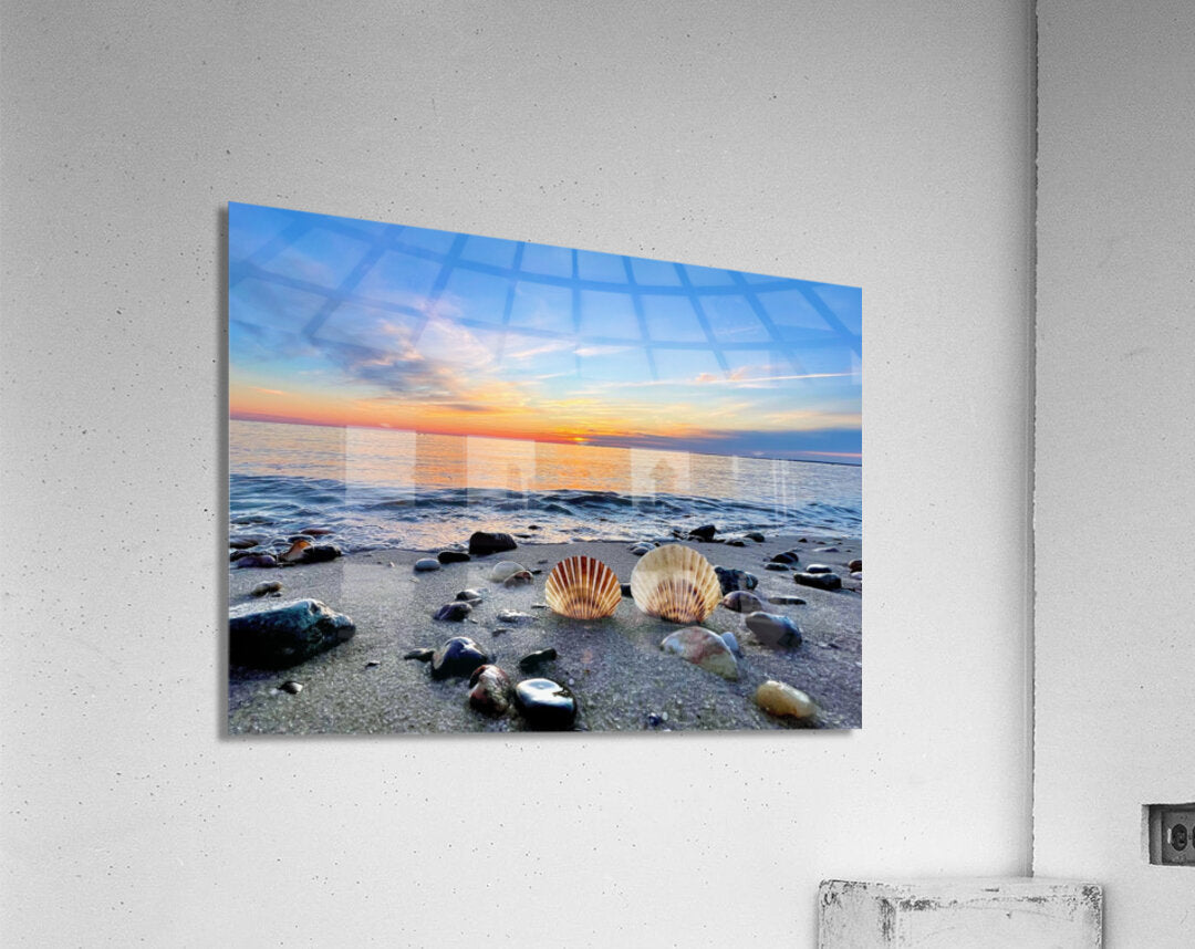 Acrylic Print