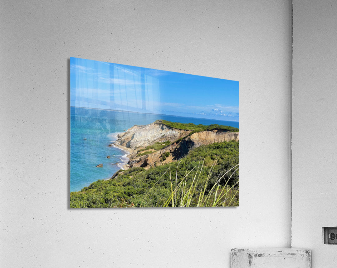 Acrylic Print