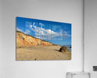 Acrylic Print