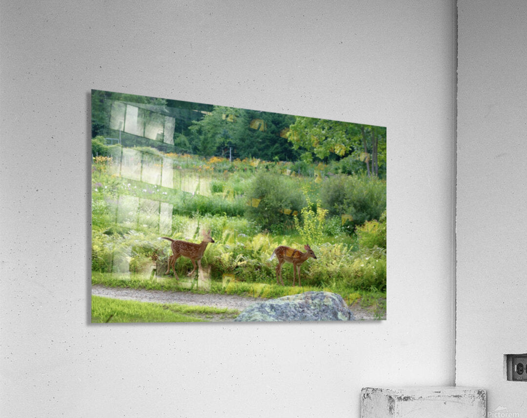 2374222 :: Acrylic Print