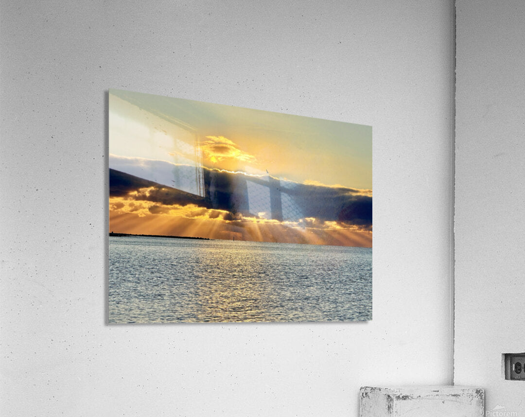 2472539 :: Acrylic Print