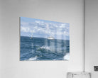 2473998 :: Acrylic Print