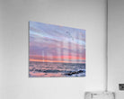 2479252 :: Acrylic Print