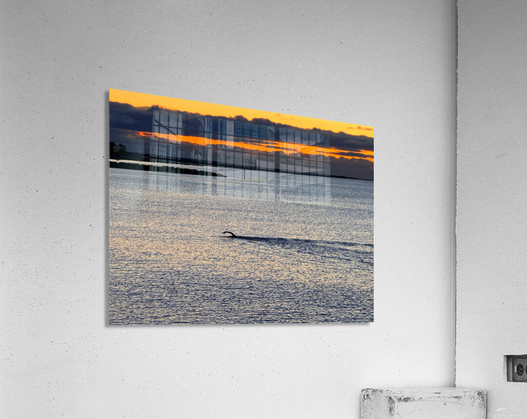 2479257 :: Acrylic Print