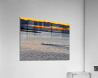 2479257 :: Acrylic Print