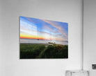 2479259 :: Acrylic Print