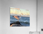 2486004 :: Acrylic Print