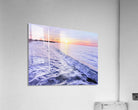 2487267 :: Acrylic Print
