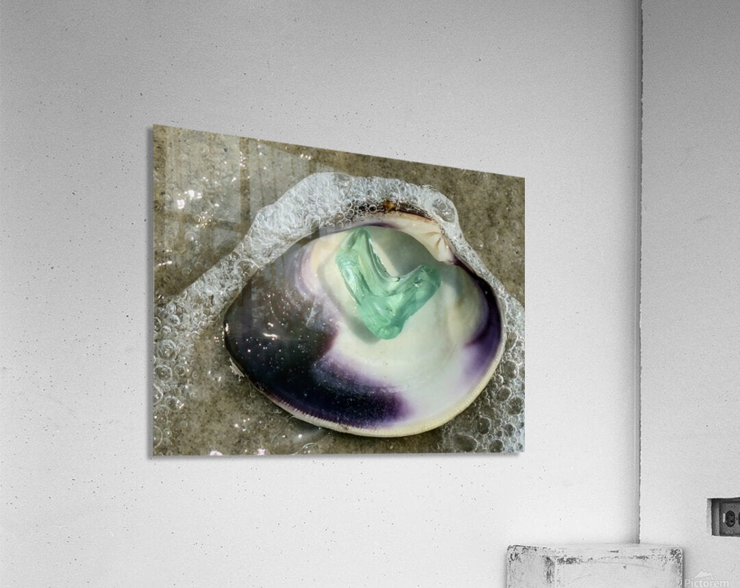 2492666 :: Acrylic Print