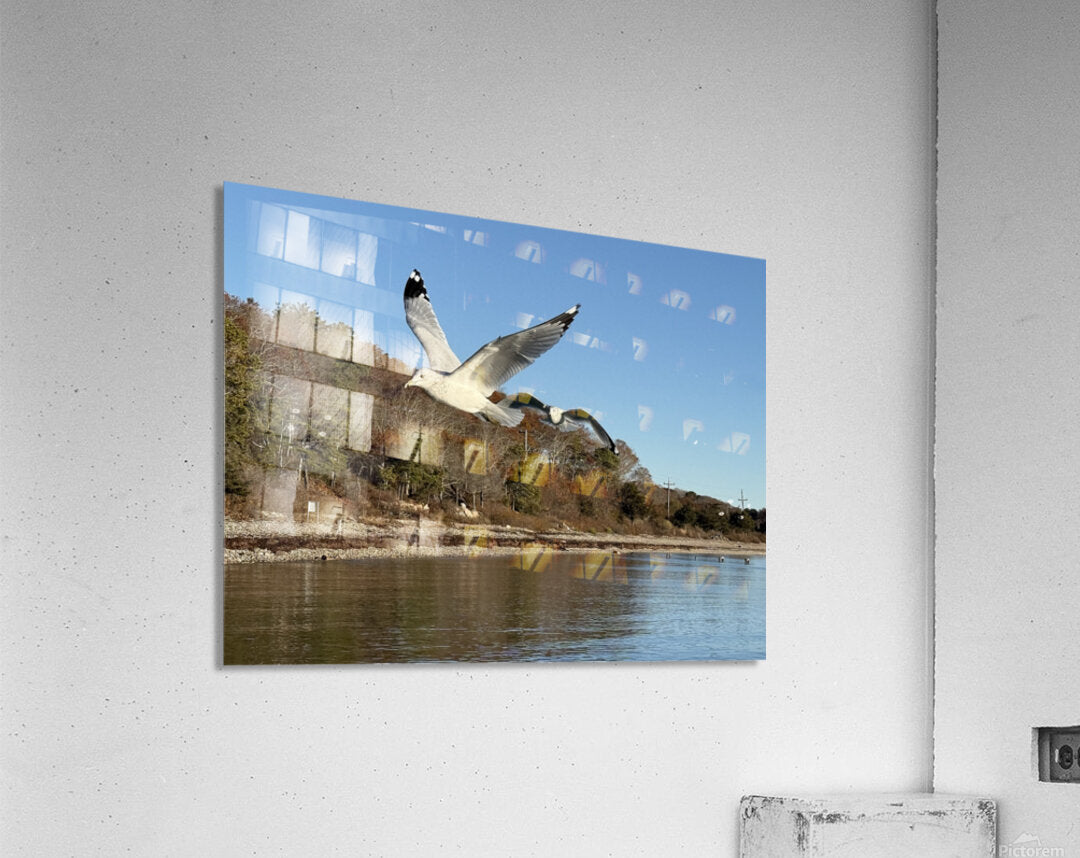 2498092 :: Acrylic Print