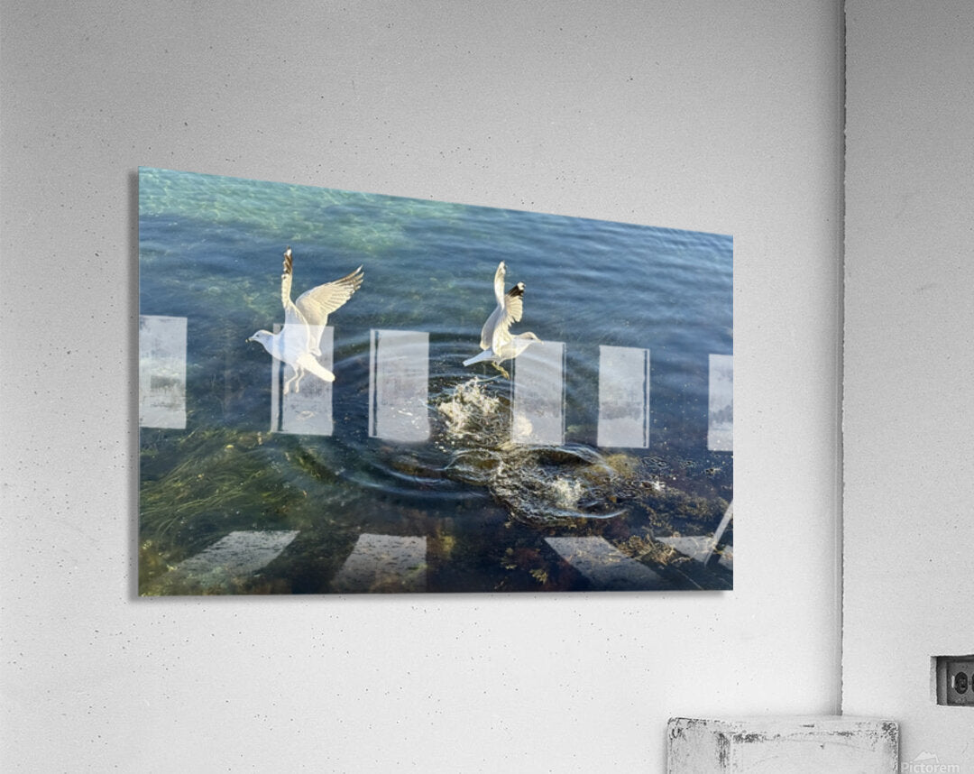 2498729 :: Acrylic Print