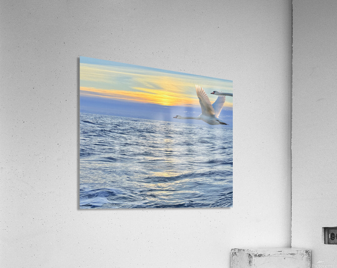 2503734 :: Acrylic Print