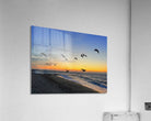 2505539 :: Acrylic Print
