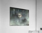 2508362 :: Acrylic Print