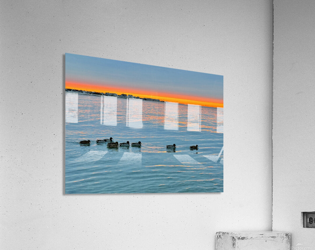 2511936 :: Acrylic Print