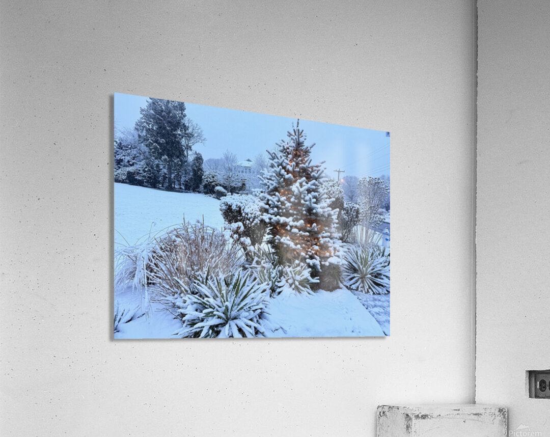 2511983 :: Acrylic Print