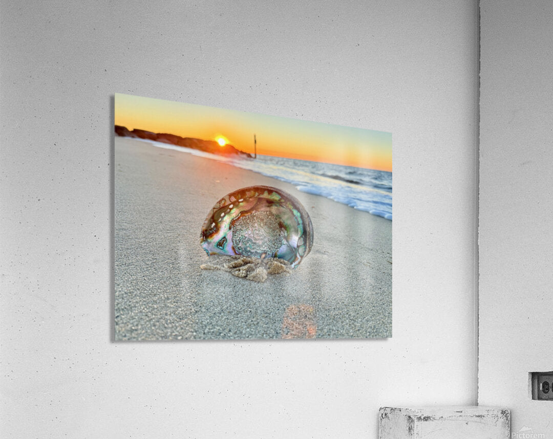 2516197 :: Acrylic Print