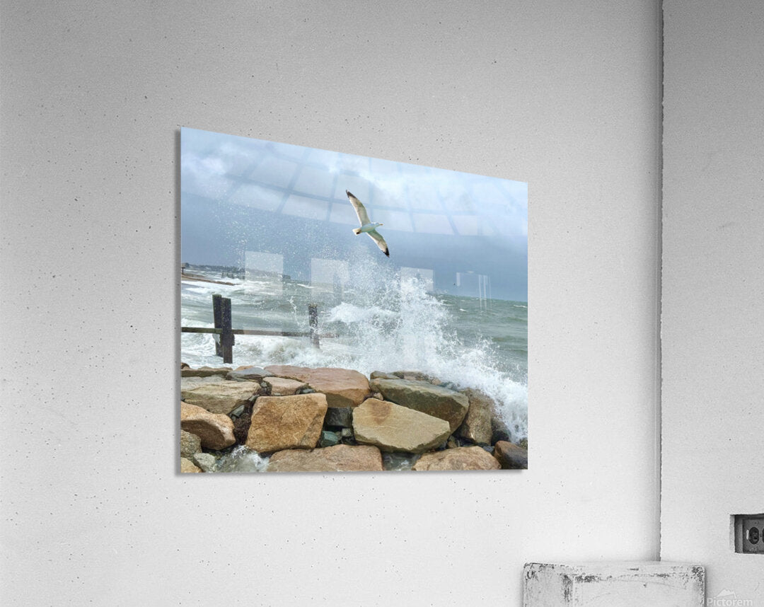 2516245 :: Acrylic Print