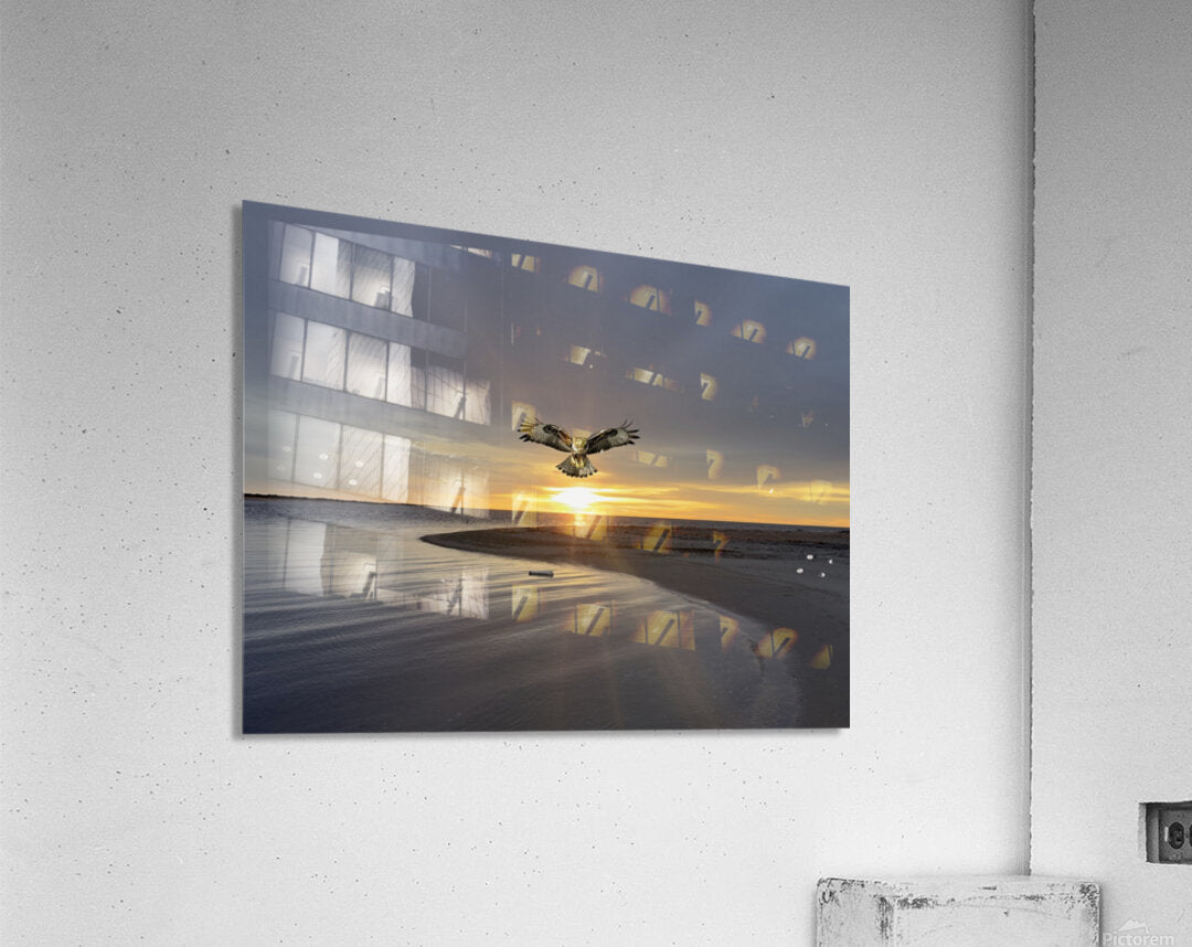 2521716 :: Acrylic Print