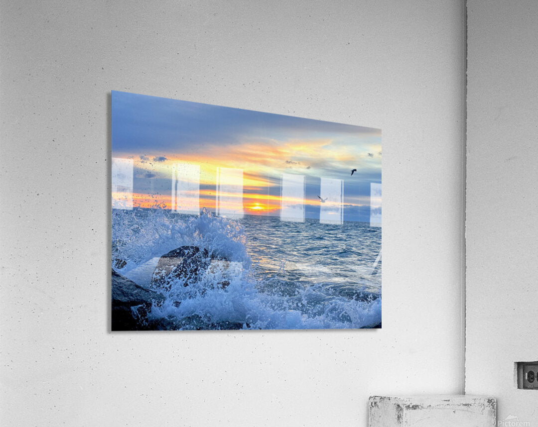 2529222 :: Acrylic Print