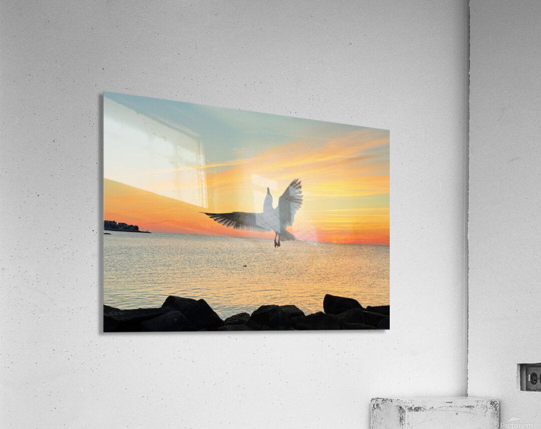 2552657 :: Acrylic Print