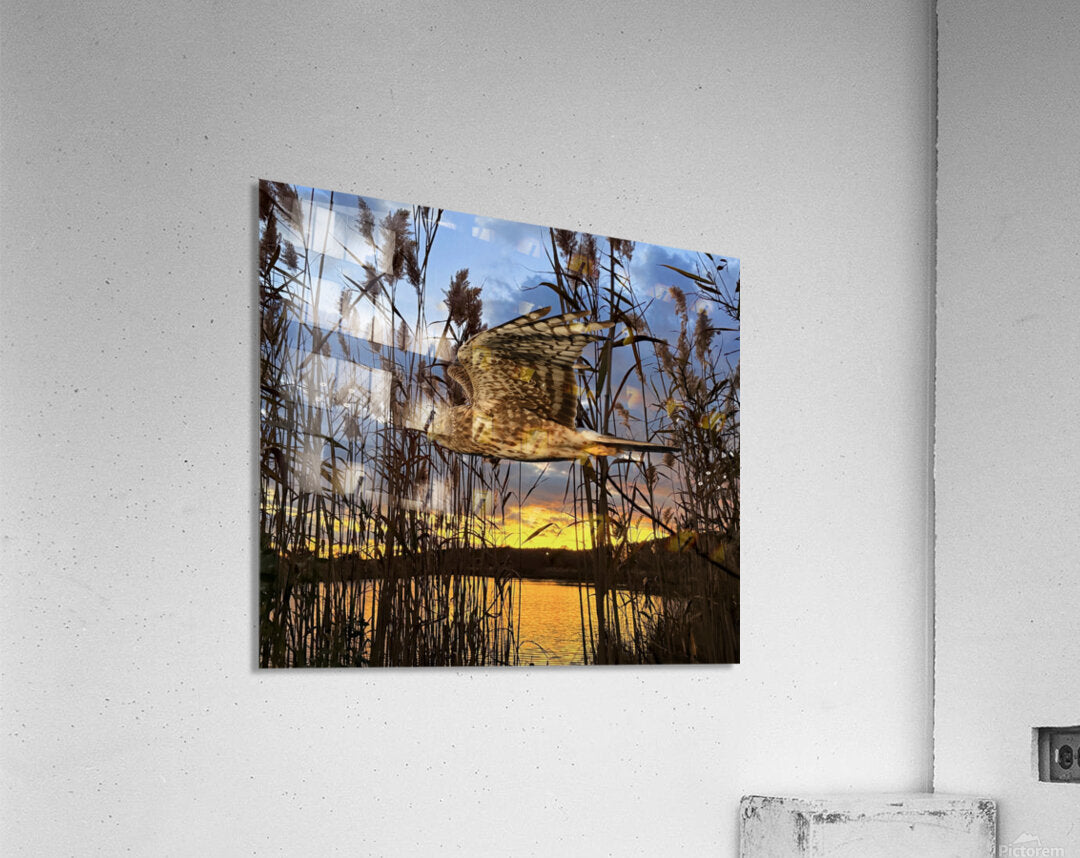 2555294 :: Acrylic Print