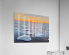 2560623 :: Acrylic Print