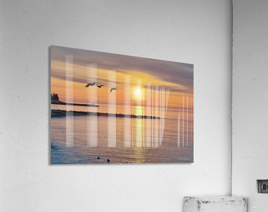 2603174 :: Acrylic Print