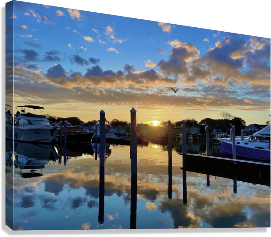 2454477 :: Giclée Stretched Canvas Print