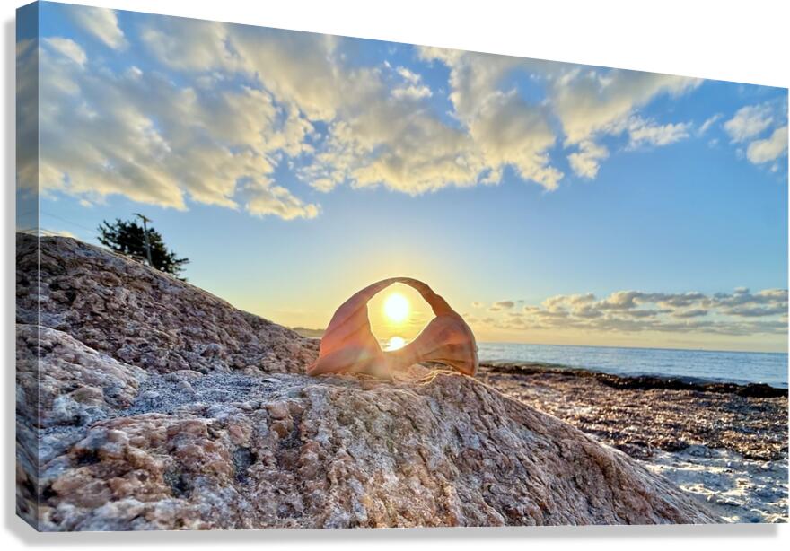 2473990 :: Giclée Stretched Canvas Print