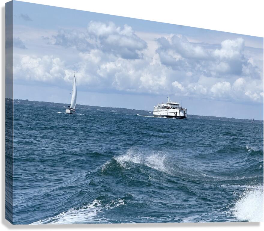 2473998 :: Giclée Stretched Canvas Print