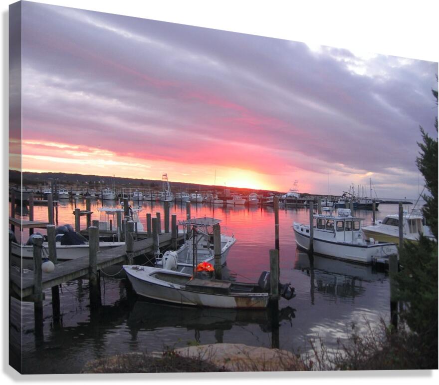 2474014 :: Giclée Stretched Canvas Print