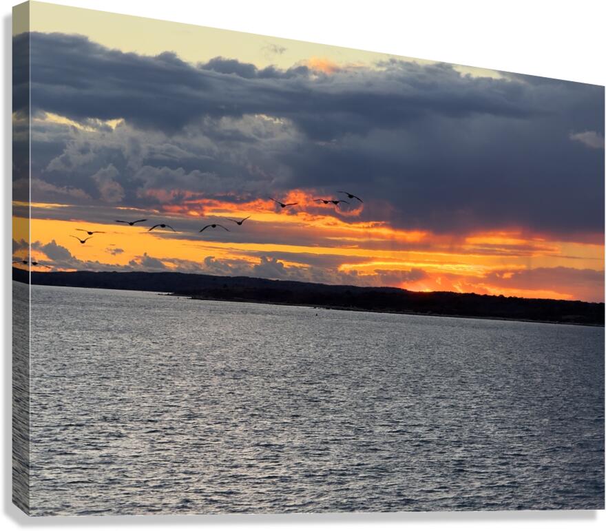 2477186 :: Giclée Stretched Canvas Print