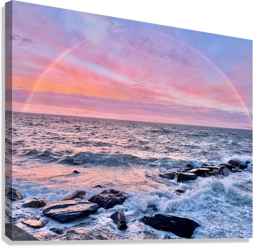 2479245 :: Giclée Stretched Canvas Print