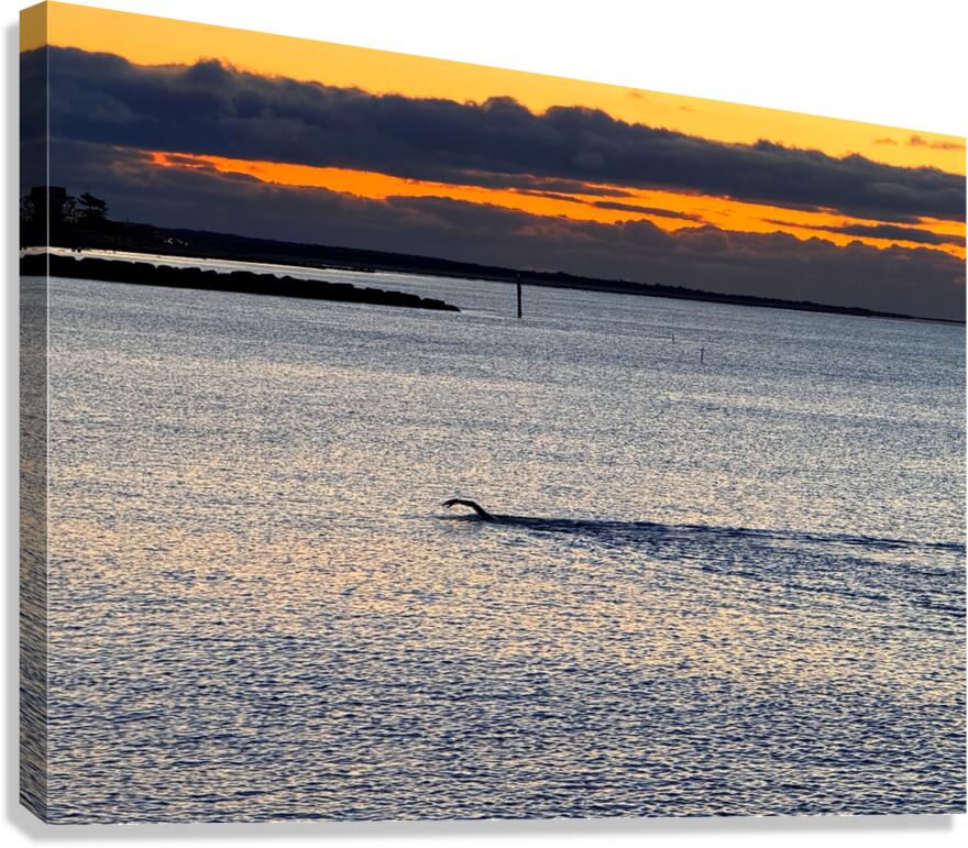 2479257 :: Giclée Stretched Canvas Print