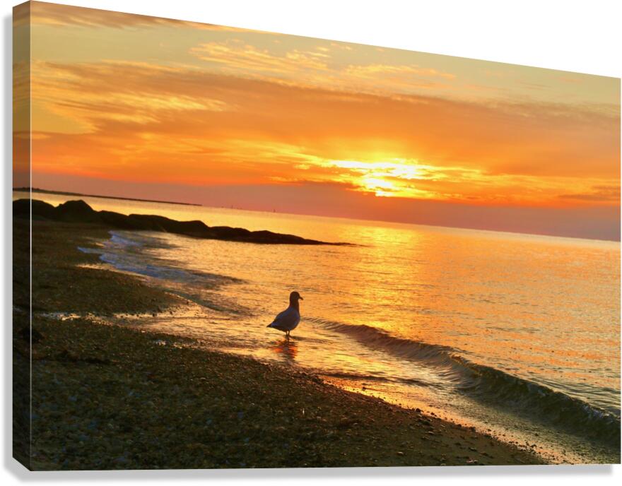 2483297 :: Giclée Stretched Canvas Print