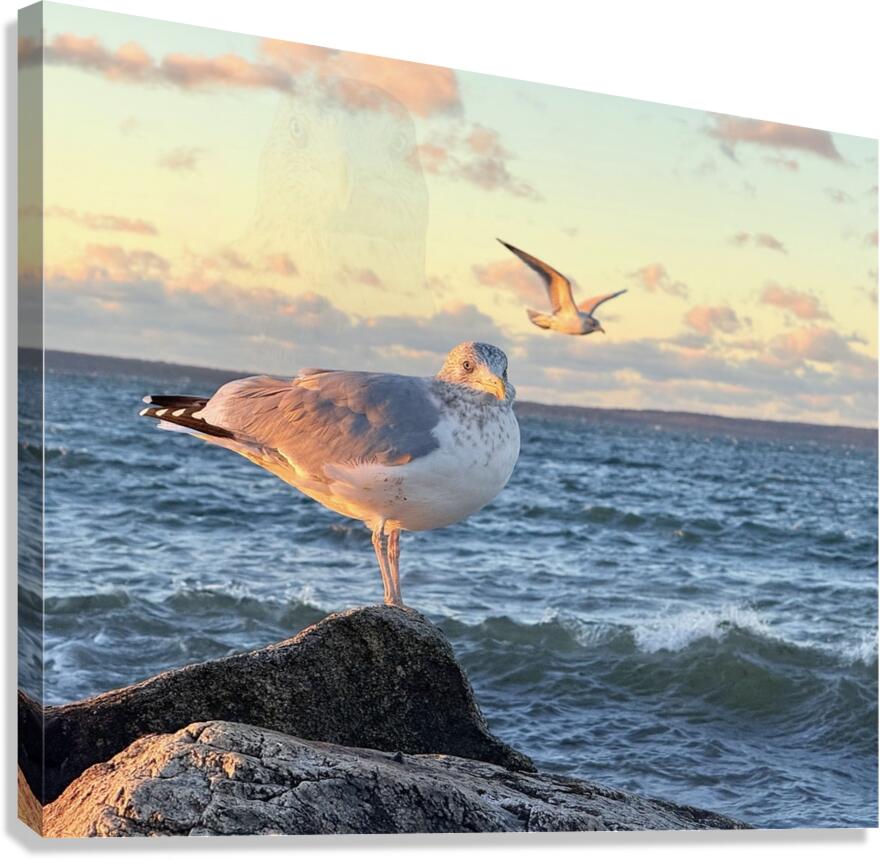 2486004 :: Giclée Stretched Canvas Print