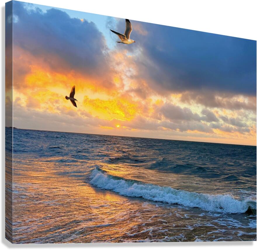 2488679 :: Giclée Stretched Canvas Print