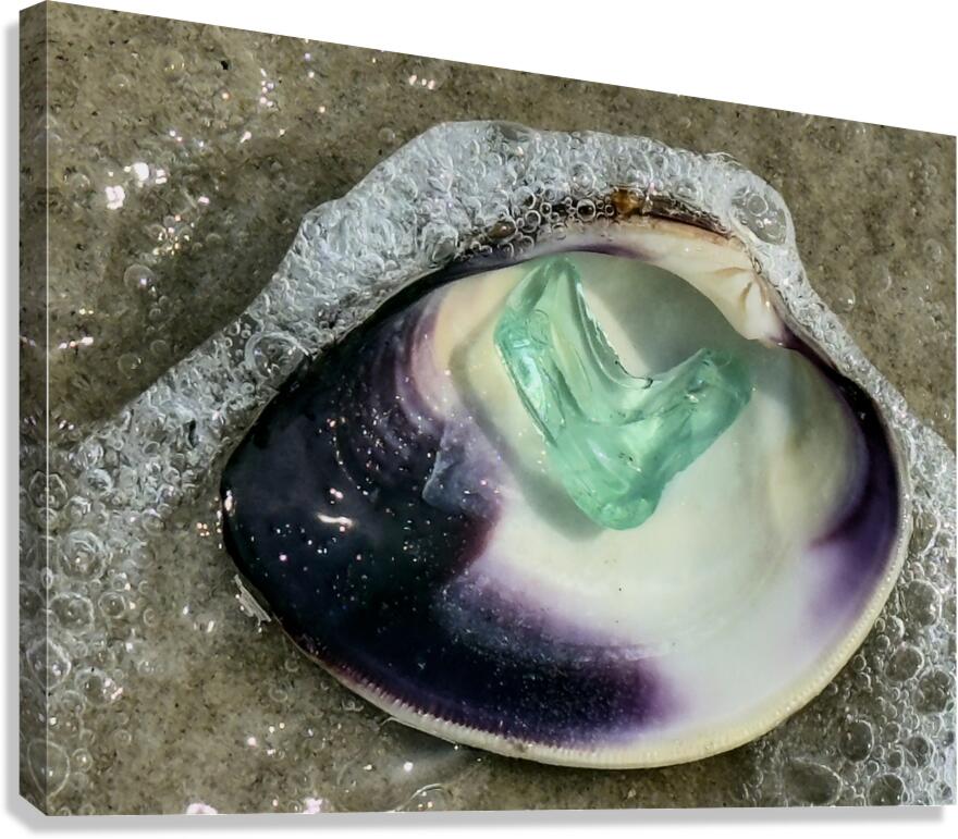 2492666 :: Giclée Stretched Canvas Print