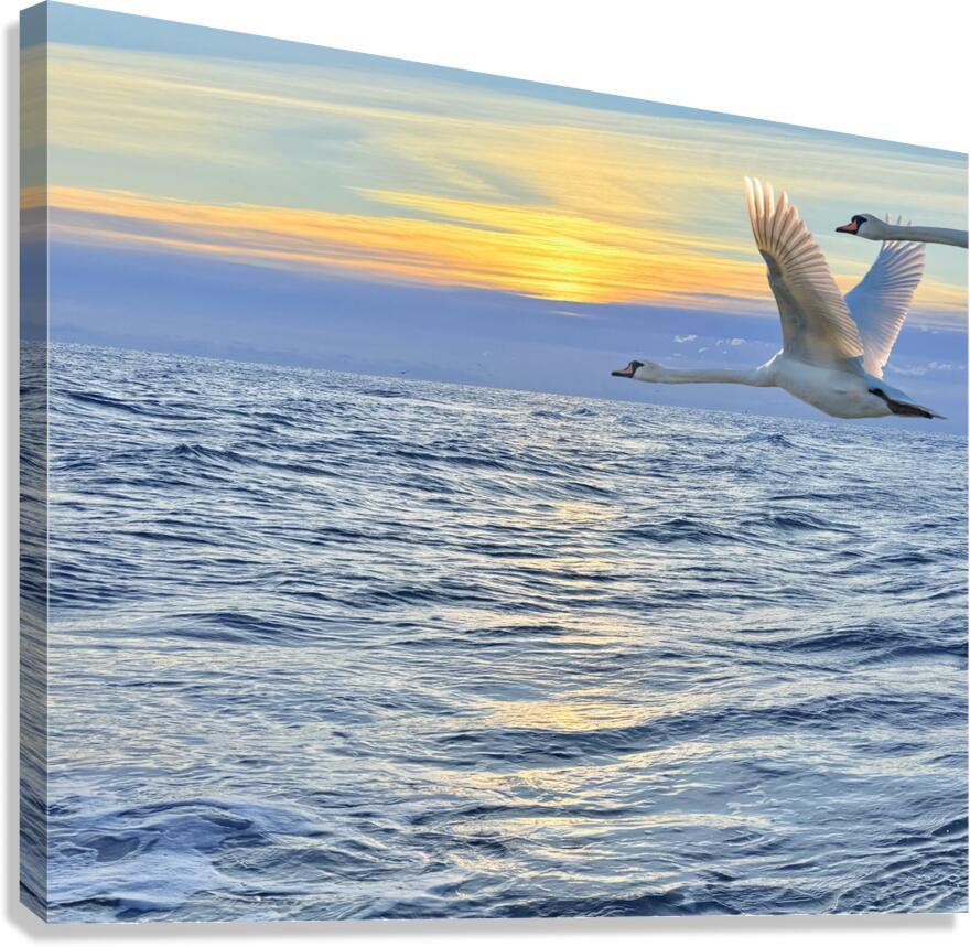 2503734 :: Giclée Stretched Canvas Print