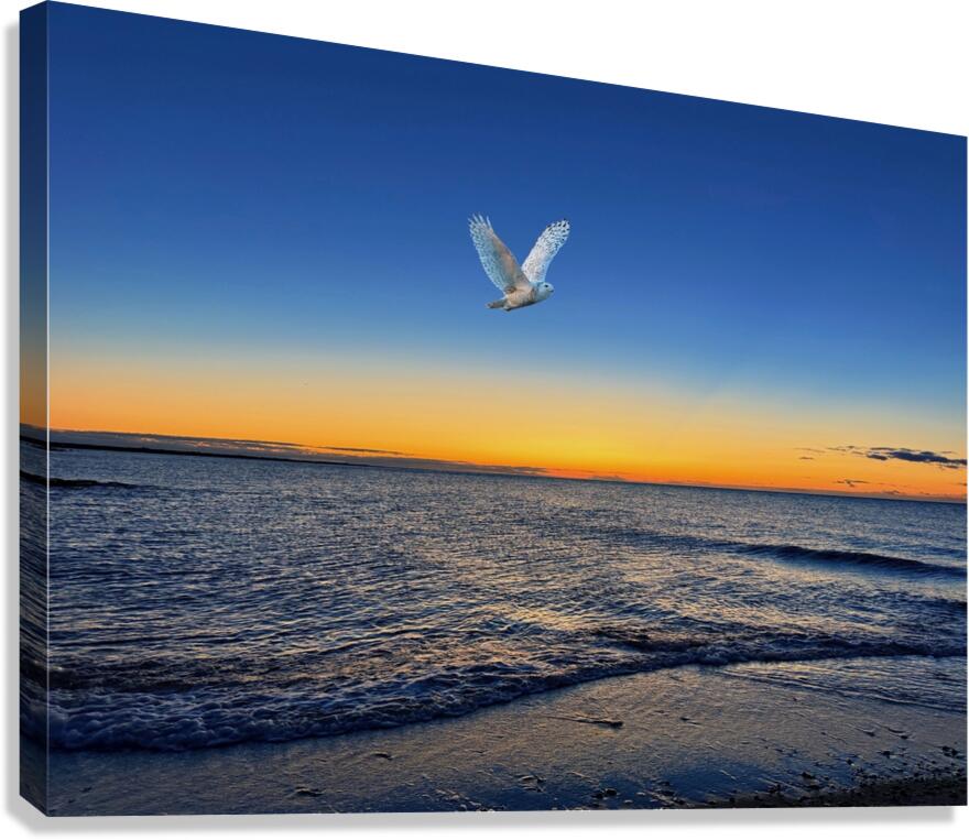 2507586 :: Giclée Stretched Canvas Print