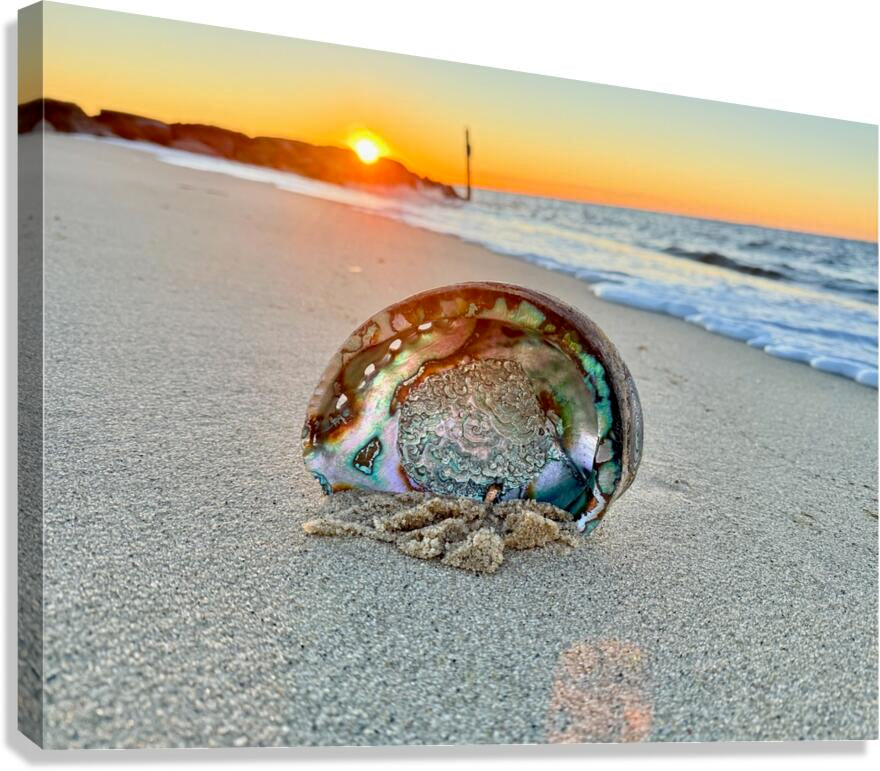 2516197 :: Giclée Stretched Canvas Print