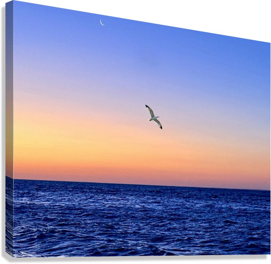 2516208 :: Giclée Stretched Canvas Print