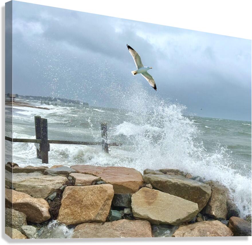2516245 :: Giclée Stretched Canvas Print