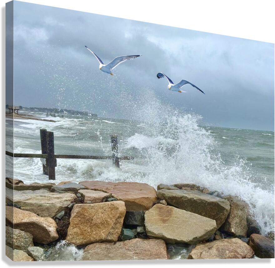 2516246 :: Giclée Stretched Canvas Print