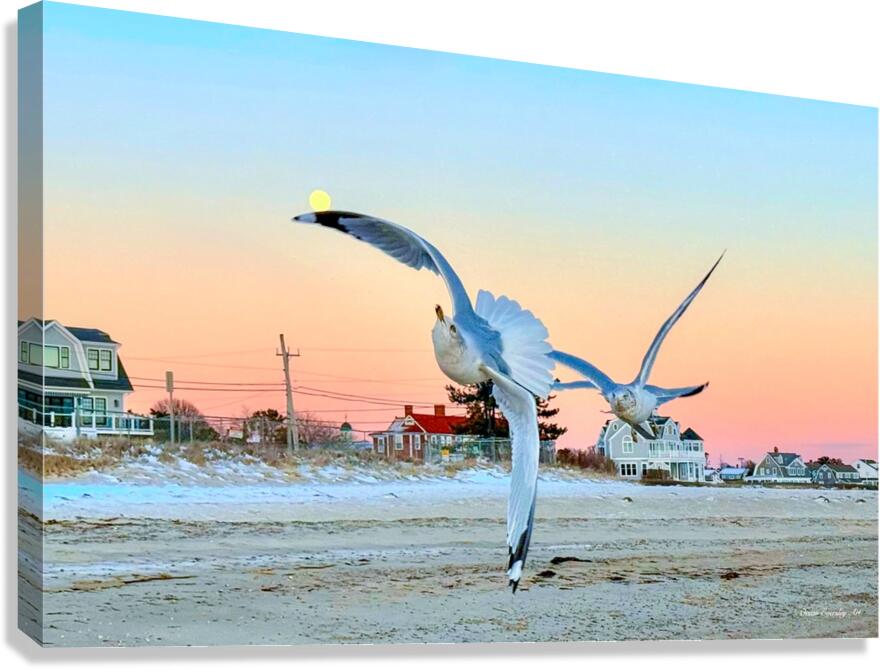 2527931 :: Giclée Stretched Canvas Print